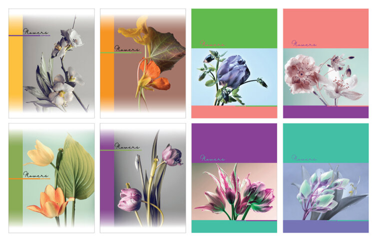  BG «Flowers»:  