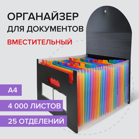 Папка-органайзер BRAUBERG DOCS, 25 отделений Папка-органайзер BRAUBERG DOCS, 25 отделений