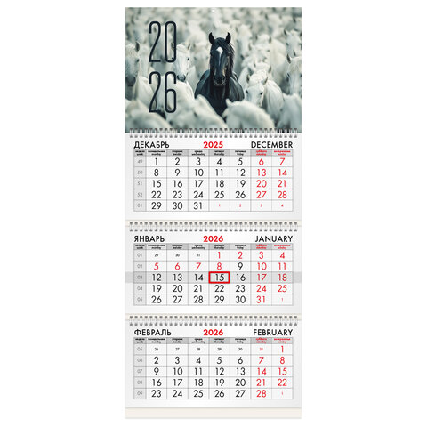   BRAUBERG, ″″