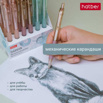 �������� ������ � ������� ����� � ������� ������������ ���������� �� Hatber.