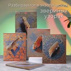 Тетради «Узоры джунглей» от Hatber: разбираем звериный принт! Тетради «Узоры джунглей» от Hatber: разбираем звериный принт!