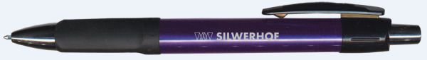��������� ����� Expert �� Silwerhof