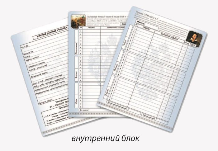 Дневник российского школьника Дневник российского школьника