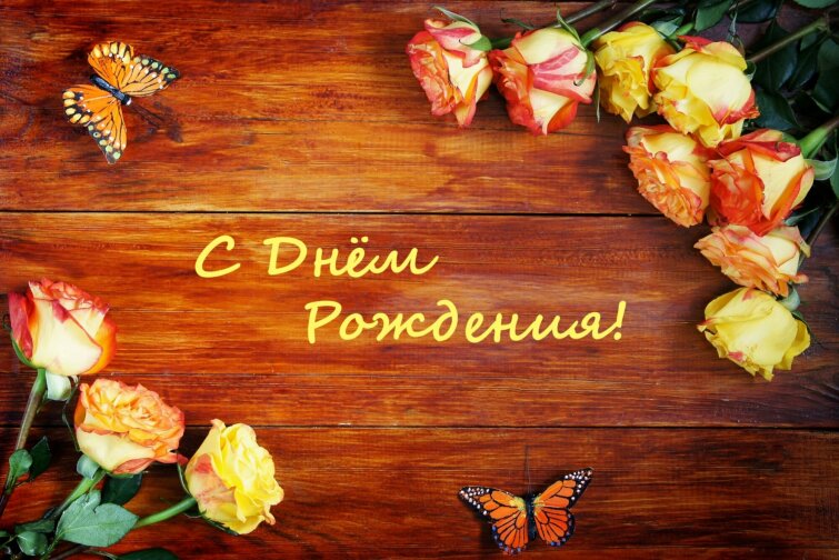 Феникс + поздравляет с Днем Рождения Савину Светлану! Феникс + поздравляет с Днем Рождения Савину Светлану!