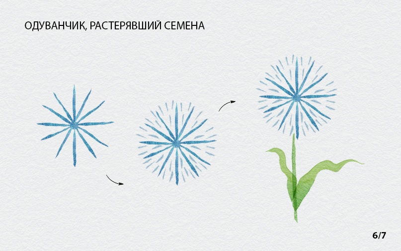 Мастер-класс по акварели от BRAUBERG: 5 простых цветков Мастер-класс по акварели от BRAUBERG: 5 простых цветков