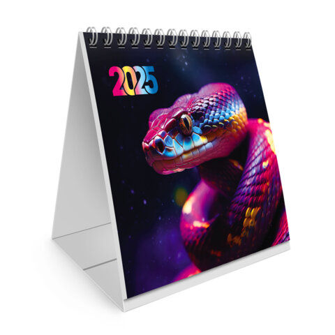 ���������-����� ���������� BRAUBERG, ″Snake″