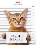Кот-обормот на тетрадях Hatber. Кот-обормот на тетрадях Hatber.