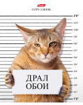 Кот-обормот на тетрадях Hatber. Кот-обормот на тетрадях Hatber.