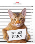 Кот-обормот на тетрадях Hatber. Кот-обормот на тетрадях Hatber.