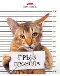 Кот-обормот на тетрадях Hatber. Кот-обормот на тетрадях Hatber.