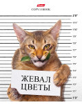 Кот-обормот на тетрадях Hatber. Кот-обормот на тетрадях Hatber.
