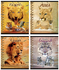 �������� ��� &laquo;���������&raquo; ���������� ������ �������� ����� �������� &laquo;Big Cats&raquo;