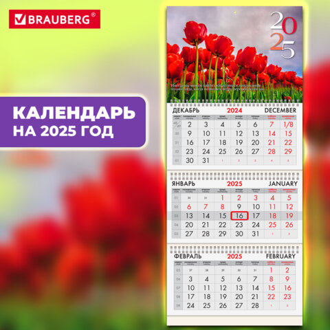 ��������� ����������� BRAUBERG, ″��������″
