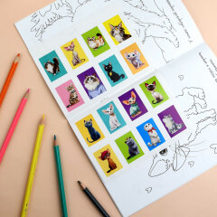 ������-��������� � ���������� ��� �����. ����� ″������″ ����