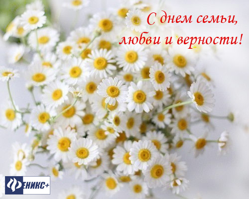 День семьи, любви и верности