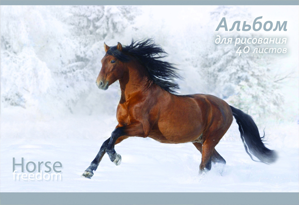 Дизайн НОВОГО альбома «Horse freedom» от компании ООО «ТетраПром» Дизайн НОВОГО альбома «Horse freedom» от компании ООО «ТетраПром»