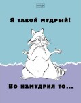 Тетради Hatber: Еноты. Тетради Hatber: Еноты.