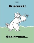 Тетради Hatber: Еноты. Тетради Hatber: Еноты.