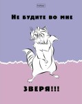 Тетради Hatber: Еноты. Тетради Hatber: Еноты.