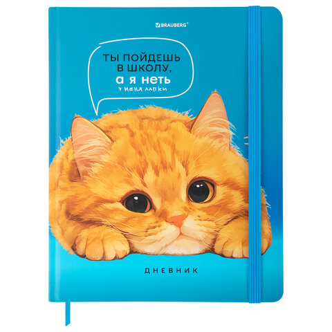 Дневник 1-11 класс BRAUBERG, ″Котик″ Дневник 1-11 класс BRAUBERG, ″Котик″