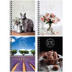 ������� �������� ������ ArtSpace