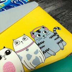 Новинка! Пластиковые папки для документов от Феникс+ Новинка! Пластиковые папки для документов от Феникс+