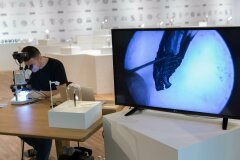 Левша нашего времени предпочитает карандаши «КОХ-И-НООР ХАРДТМУТ» Левша нашего времени предпочитает карандаши «КОХ-И-НООР ХАРДТМУТ»