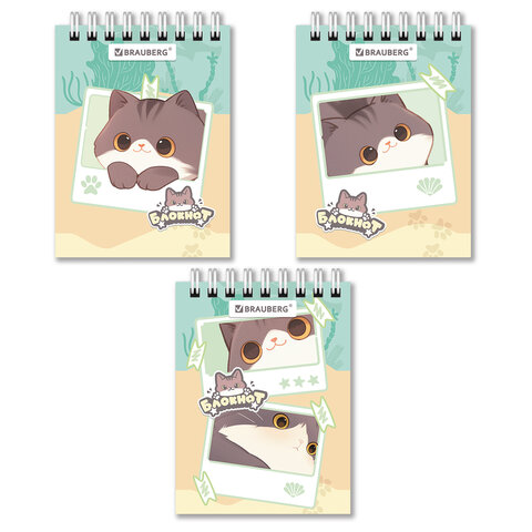 ������� BRAUBERG ″����� ����″, ������ �7