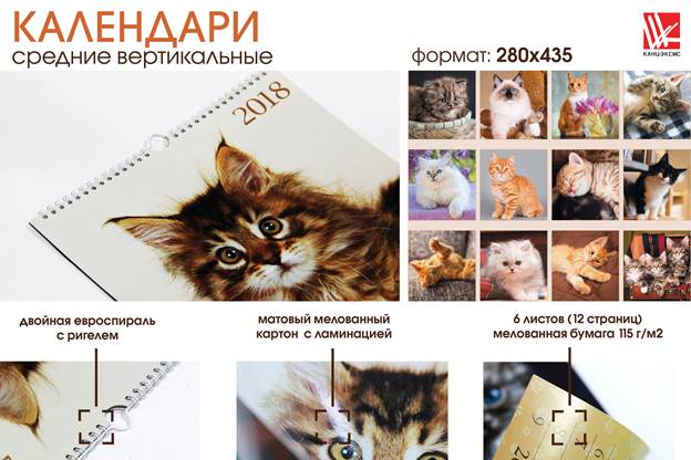 Кот – всему голова! Кот – всему голова!