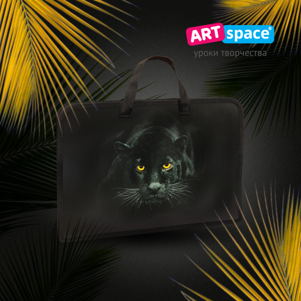 Папки ArtSpace для учебы и творчества Папки ArtSpace для учебы и творчества