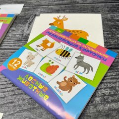 Развивающие карточки для малышей от Феникс+ Развивающие карточки для малышей от Феникс+