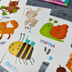 Развивающие карточки для малышей от Феникс+ Развивающие карточки для малышей от Феникс+