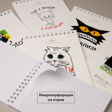     «»  Hatber:   - !