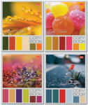 Коллекция изделий ″Color Pallette″ от компании ПОЛИНОМ...