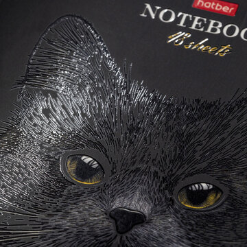  Black Cat  Hatber:     !
