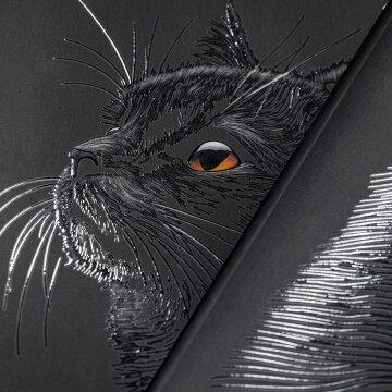  Black Cat  Hatber:     !
