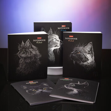  Black Cat  Hatber:     !