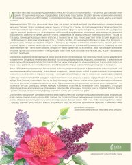 ″��������″ ������������ �������� ″������-��������� ��� �������″