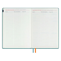   2026 ESCALADA,  5+, 80 .,  ,  ,   ″″,  