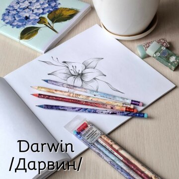 Чернографитные карандаши Darwin (Дарвин) от Hatber: эволюция цвета, эволюция цветов! Чернографитные карандаши Darwin (Дарвин) от Hatber: эволюция цвета, эволюция цветов!