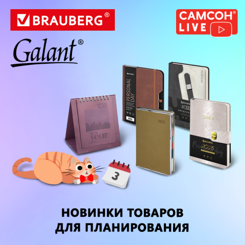 ������ LIVE: ������ ��� ������������ BRAUBERG � GALANT