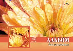 Альбом для рисования (новый стимул для творчества) Альбом для рисования (новый стимул для творчества)