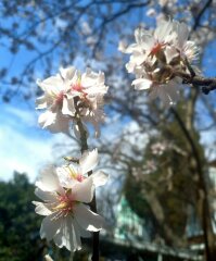 ″����-�����″ � ″������″