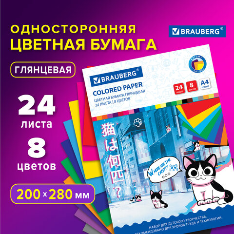 ������� ������ BRAUBERG