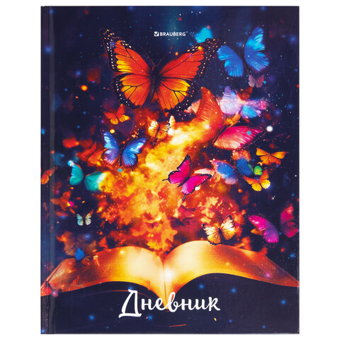 Дневник 1-4 класс 48 л., твердый, BRAUBERG Дневник 1-4 класс 48 л., твердый, BRAUBERG