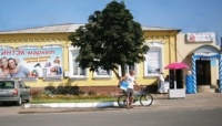 Интеллект + экономика = успешный бизнес Интеллект + экономика = успешный бизнес
