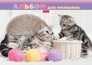 ������� � ������� ��������� �� Hatber.