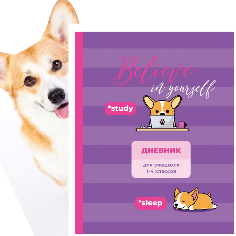Дневник BG. Новый сезон 2021. Corgi day Дневник BG. Новый сезон 2021. Corgi day