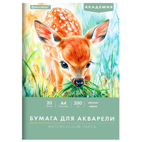    BRAUBERG , ″″,  4