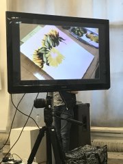 Презентация новых цветов Van Gogh на международной выставке ″Всемирное Ботаническое искусство″. Презентация новых цветов Van Gogh на международной выставке ″Всемирное Ботаническое искусство″.